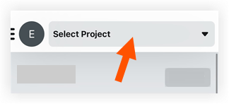 Project and Company Selector.png
